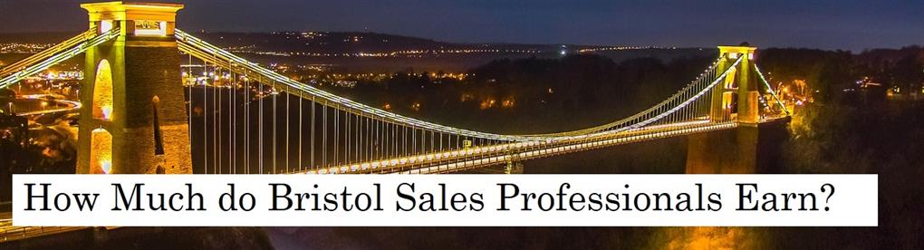 How Much Do Sales Professionals Earn in Bristol?