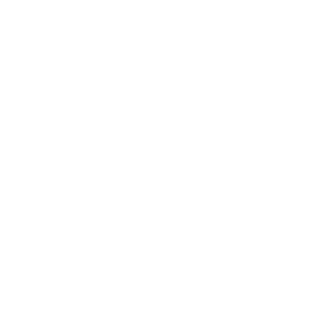 Video Icon